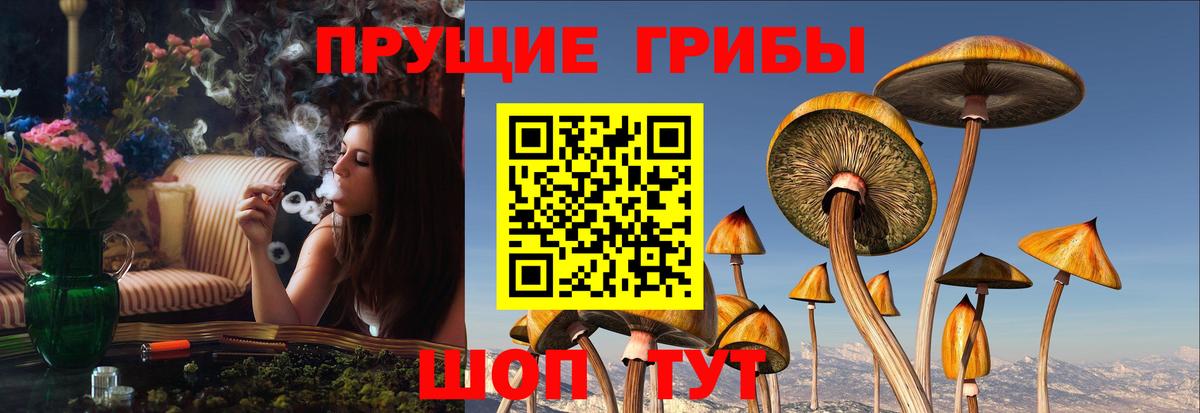 Галлюциногенные грибы Magic Shrooms Рязань