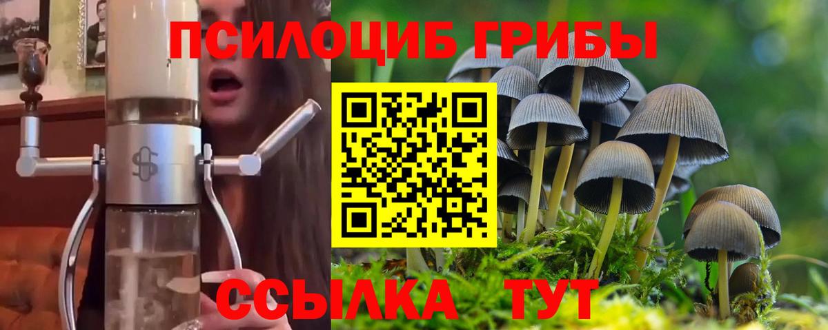 Псилоцибиновые грибы мухоморы  сколько стоит  Рязань  Вход с VPN 